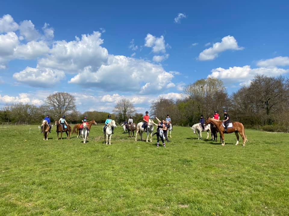 Centre équestre et élevage frenchy à malta en bourgogne élevage de chevaux et poulain