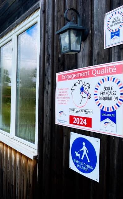 Centre équestre et élevage frenchy à malta en bourgogne élevage de chevaux et poulain